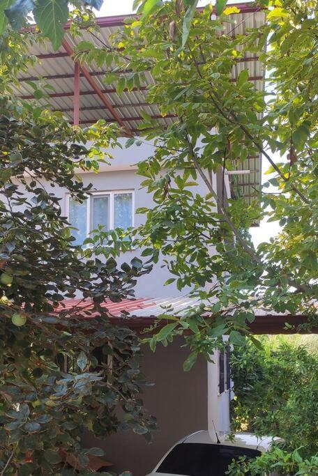 Engin Home 帕莫卡莱 外观 照片